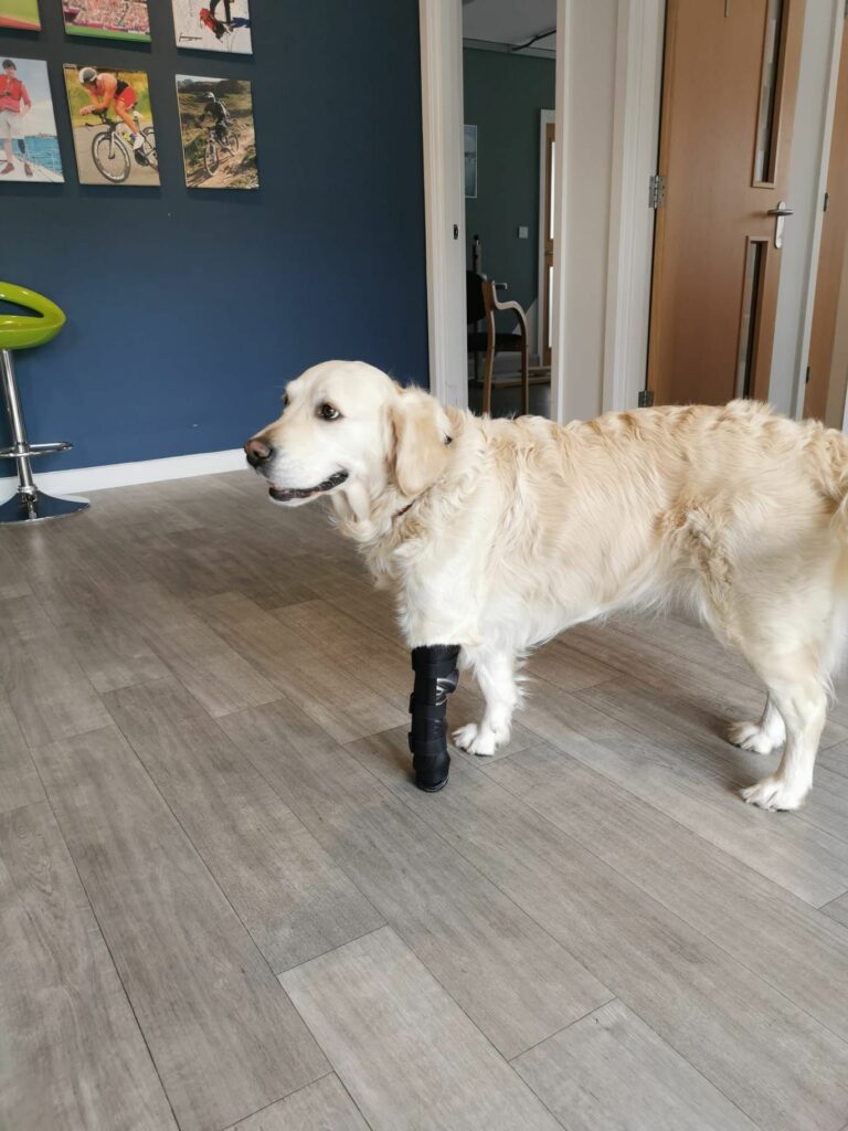 The 3D-Printed Prosthetic Leg For Sasha